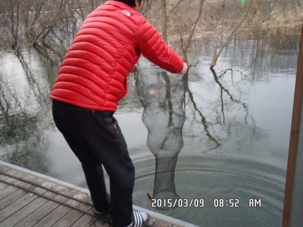 145300bffb044779fa935a38e57cde36.jpg