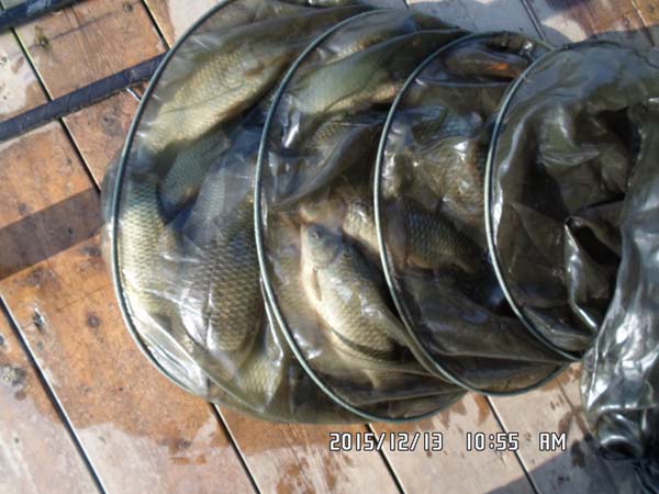 dad1647cb8fa7a1e9abcec4a2f136736.jpg